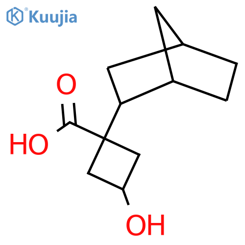1-{bicyclo2.2.1heptan-2-yl}-3-hydroxycyclobutane-1-carboxylic acid structure