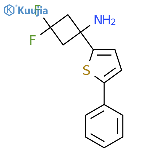 3,3-difluoro-1-(5-phenylthiophen-2-yl)cyclobutan-1-amine structure