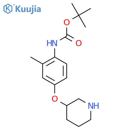 tert-butyl N-2-methyl-4-(piperidin-3-yloxy)phenylcarbamate structure