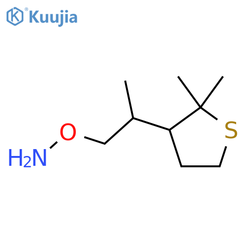 O-2-(2,2-dimethylthiolan-3-yl)propylhydroxylamine structure