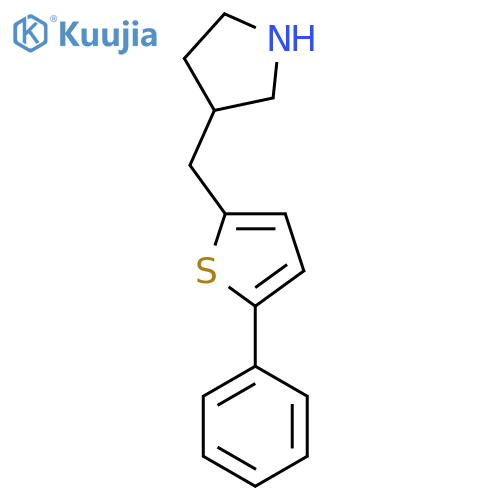 3-(5-phenylthiophen-2-yl)methylpyrrolidine structure