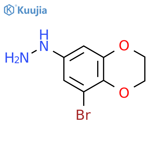 (8-bromo-2,3-dihydro-1,4-benzodioxin-6-yl)hydrazine structure