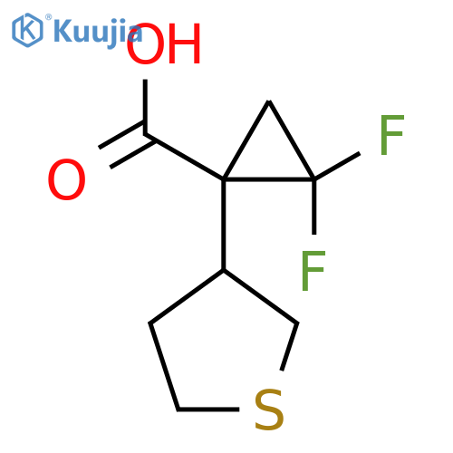 2,2-difluoro-1-(thiolan-3-yl)cyclopropane-1-carboxylic acid structure