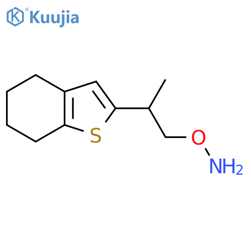 O-2-(4,5,6,7-tetrahydro-1-benzothiophen-2-yl)propylhydroxylamine structure