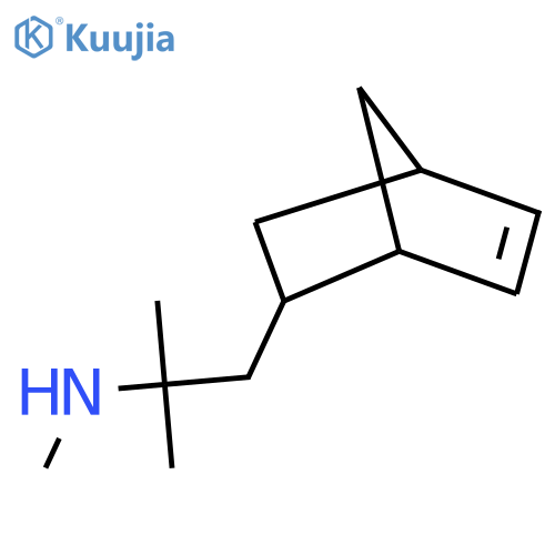 (1-{bicyclo2.2.1hept-5-en-2-yl}-2-methylpropan-2-yl)(methyl)amine structure