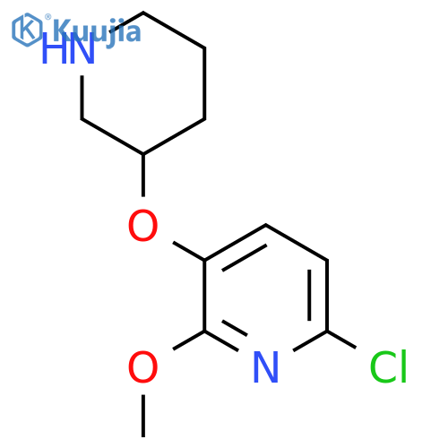 6-chloro-2-methoxy-3-(piperidin-3-yloxy)pyridine structure
