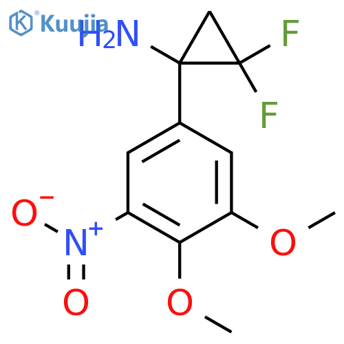 1-(3,4-dimethoxy-5-nitrophenyl)-2,2-difluorocyclopropan-1-amine structure