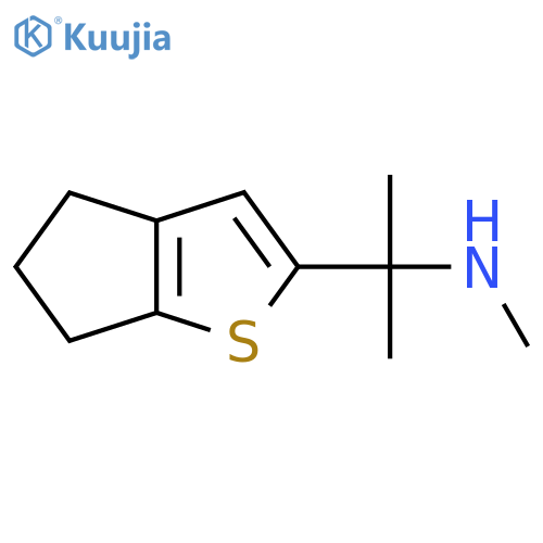 (2-{4H,5H,6H-cyclopentabthiophen-2-yl}propan-2-yl)(methyl)amine structure