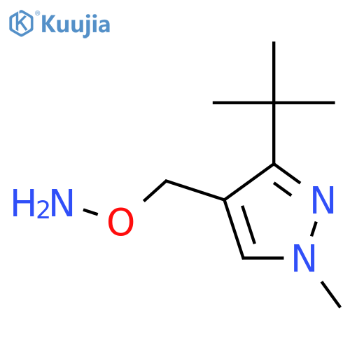 O-(3-tert-butyl-1-methyl-1H-pyrazol-4-yl)methylhydroxylamine structure