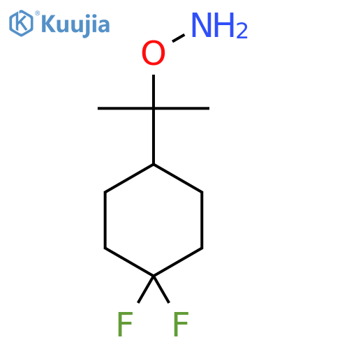 O-2-(4,4-difluorocyclohexyl)propan-2-ylhydroxylamine structure