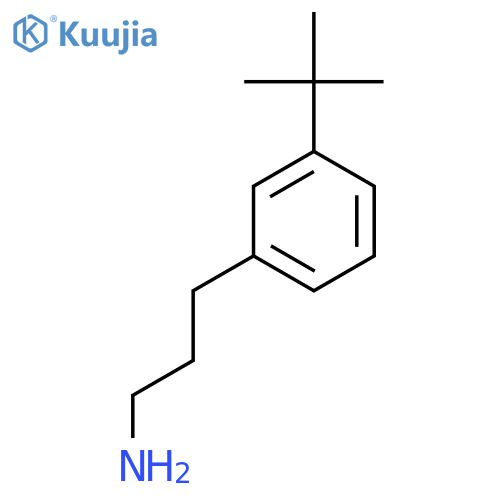 3-(3-tert-butylphenyl)propan-1-amine structure