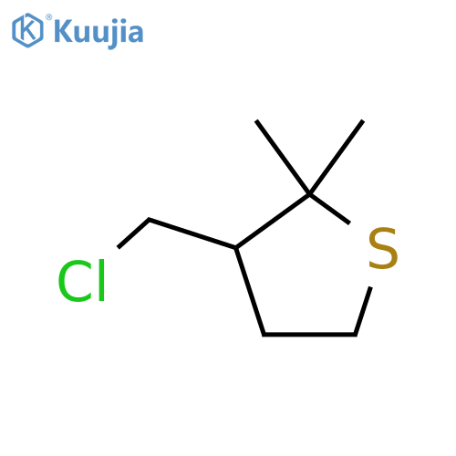 3-(chloromethyl)-2,2-dimethylthiolane structure