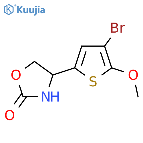 4-(4-bromo-5-methoxythiophen-2-yl)-1,3-oxazolidin-2-one structure