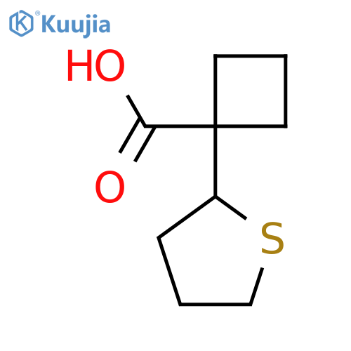 1-(thiolan-2-yl)cyclobutane-1-carboxylic acid structure