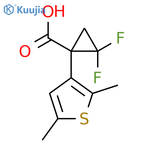 1-(2,5-dimethylthiophen-3-yl)-2,2-difluorocyclopropane-1-carboxylic acid structure