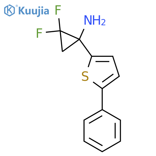 2,2-difluoro-1-(5-phenylthiophen-2-yl)cyclopropan-1-amine structure