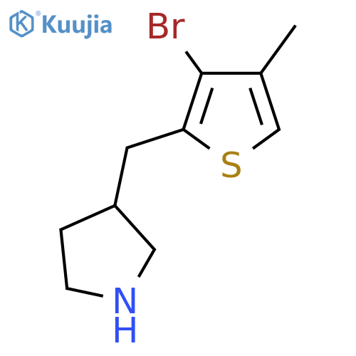 3-(3-bromo-4-methylthiophen-2-yl)methylpyrrolidine structure