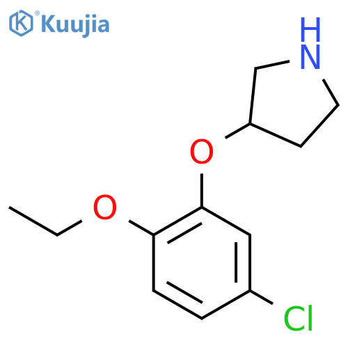 3-(5-chloro-2-ethoxyphenoxy)pyrrolidine structure