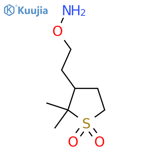 3-2-(aminooxy)ethyl-2,2-dimethyl-1lambda6-thiolane-1,1-dione structure