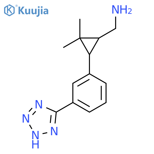 {2,2-dimethyl-3-3-(1H-1,2,3,4-tetrazol-5-yl)phenylcyclopropyl}methanamine structure