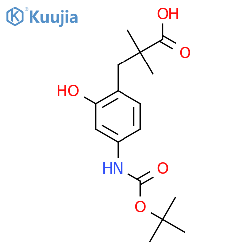 3-(4-{(tert-butoxy)carbonylamino}-2-hydroxyphenyl)-2,2-dimethylpropanoic acid structure