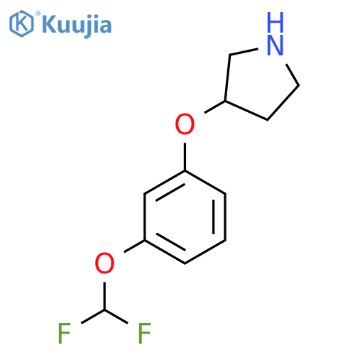3-3-(difluoromethoxy)phenoxypyrrolidine structure