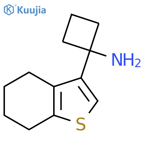 1-(4,5,6,7-Tetrahydro-1-benzothiophen-3-yl)cyclobutan-1-amine structure