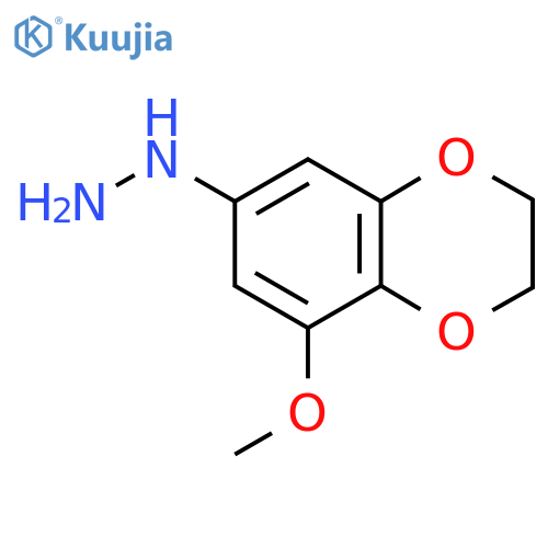 (8-methoxy-2,3-dihydro-1,4-benzodioxin-6-yl)hydrazine structure