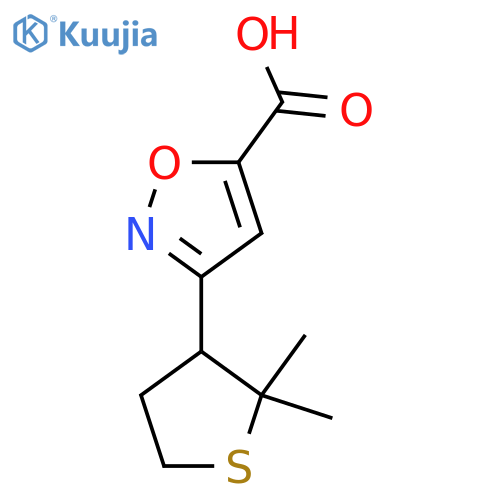 3-(2,2-dimethylthiolan-3-yl)-1,2-oxazole-5-carboxylic acid structure