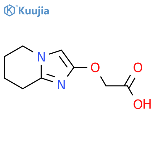2-{5H,6H,7H,8H-imidazo1,2-apyridin-2-yloxy}acetic acid structure