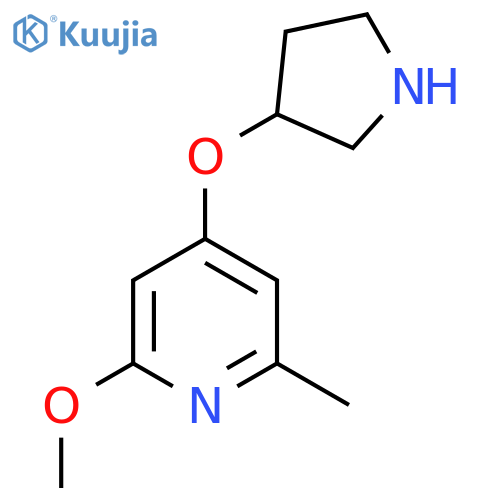 2-methoxy-6-methyl-4-(pyrrolidin-3-yloxy)pyridine structure