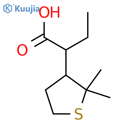2-(2,2-dimethylthiolan-3-yl)butanoic acid structure