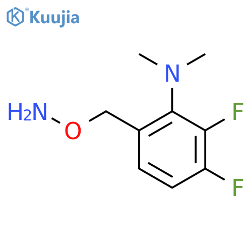 6-(aminooxy)methyl-2,3-difluoro-N,N-dimethylaniline structure