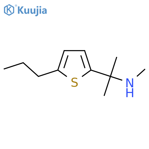 methyl2-(5-propylthiophen-2-yl)propan-2-ylamine structure