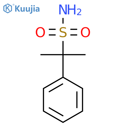 2-phenylpropane-2-sulfonamide structure