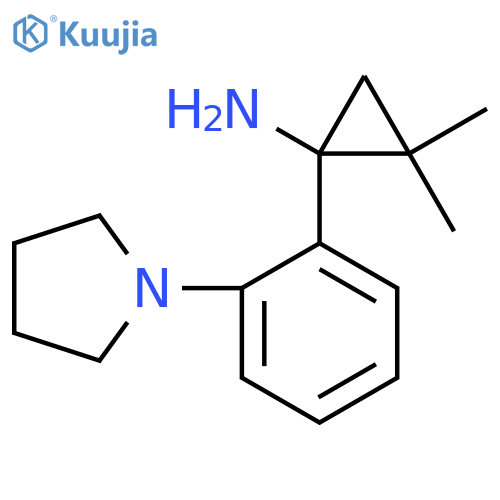 2,2-dimethyl-1-2-(pyrrolidin-1-yl)phenylcyclopropan-1-amine structure