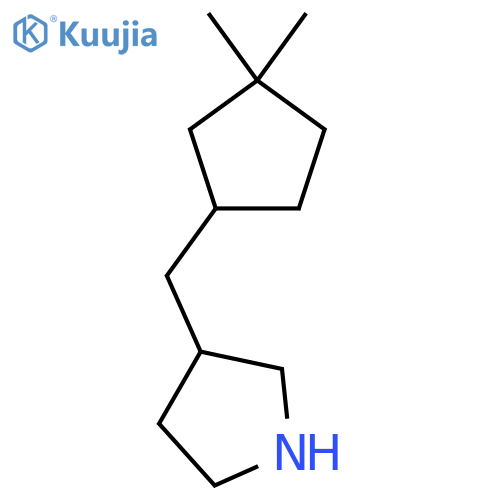 3-(3,3-dimethylcyclopentyl)methylpyrrolidine structure