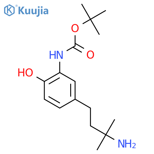 tert-butyl N-5-(3-amino-3-methylbutyl)-2-hydroxyphenylcarbamate structure