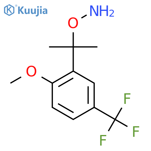 O-{2-2-methoxy-5-(trifluoromethyl)phenylpropan-2-yl}hydroxylamine structure