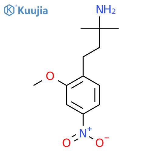 4-(2-methoxy-4-nitrophenyl)-2-methylbutan-2-amine structure