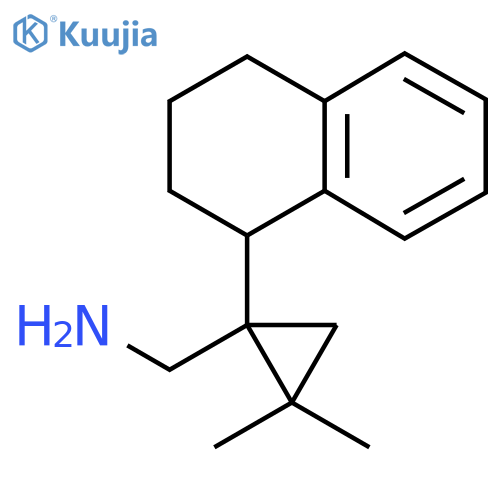 2,2-dimethyl-1-(1,2,3,4-tetrahydronaphthalen-1-yl)cyclopropylmethanamine structure