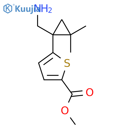 methyl 5-1-(aminomethyl)-2,2-dimethylcyclopropylthiophene-2-carboxylate structure