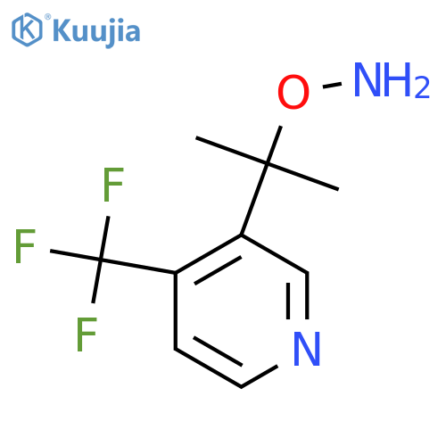O-{2-4-(trifluoromethyl)pyridin-3-ylpropan-2-yl}hydroxylamine structure