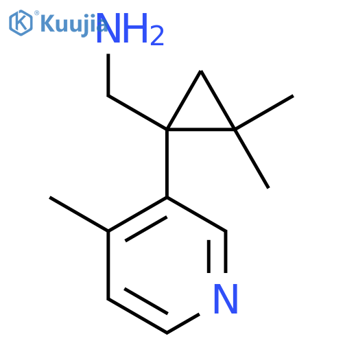 2,2-dimethyl-1-(4-methylpyridin-3-yl)cyclopropylmethanamine structure
