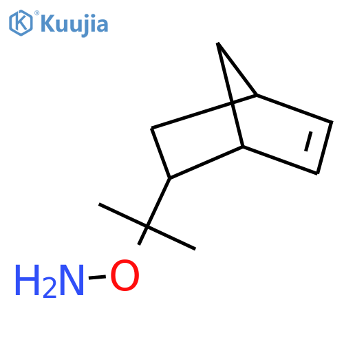 O-(2-{bicyclo2.2.1hept-5-en-2-yl}propan-2-yl)hydroxylamine structure