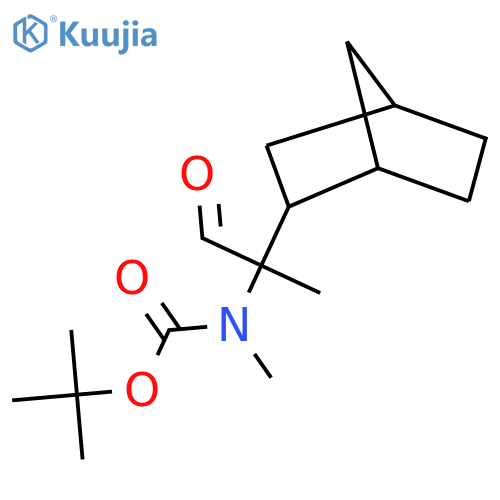 tert-butyl N-(2-{bicyclo2.2.1heptan-2-yl}-1-oxopropan-2-yl)-N-methylcarbamate structure