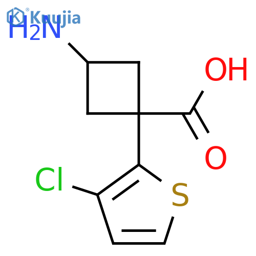 3-amino-1-(3-chlorothiophen-2-yl)cyclobutane-1-carboxylic acid structure