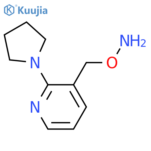 O-{2-(pyrrolidin-1-yl)pyridin-3-ylmethyl}hydroxylamine structure