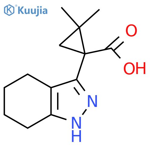 2,2-dimethyl-1-(4,5,6,7-tetrahydro-1H-indazol-3-yl)cyclopropane-1-carboxylic acid structure