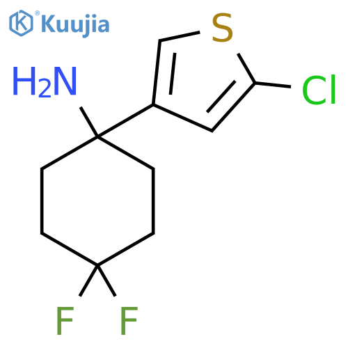 1-(5-chlorothiophen-3-yl)-4,4-difluorocyclohexan-1-amine structure